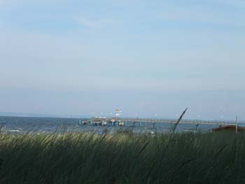 PICT0151