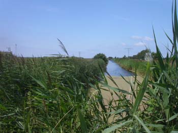 PICT0154
