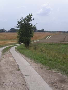 PICT0217