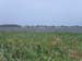 PICT0119